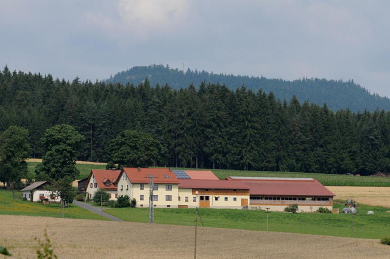 Ferienwohnung Burgerhof Pullenreuth Εξωτερικό φωτογραφία